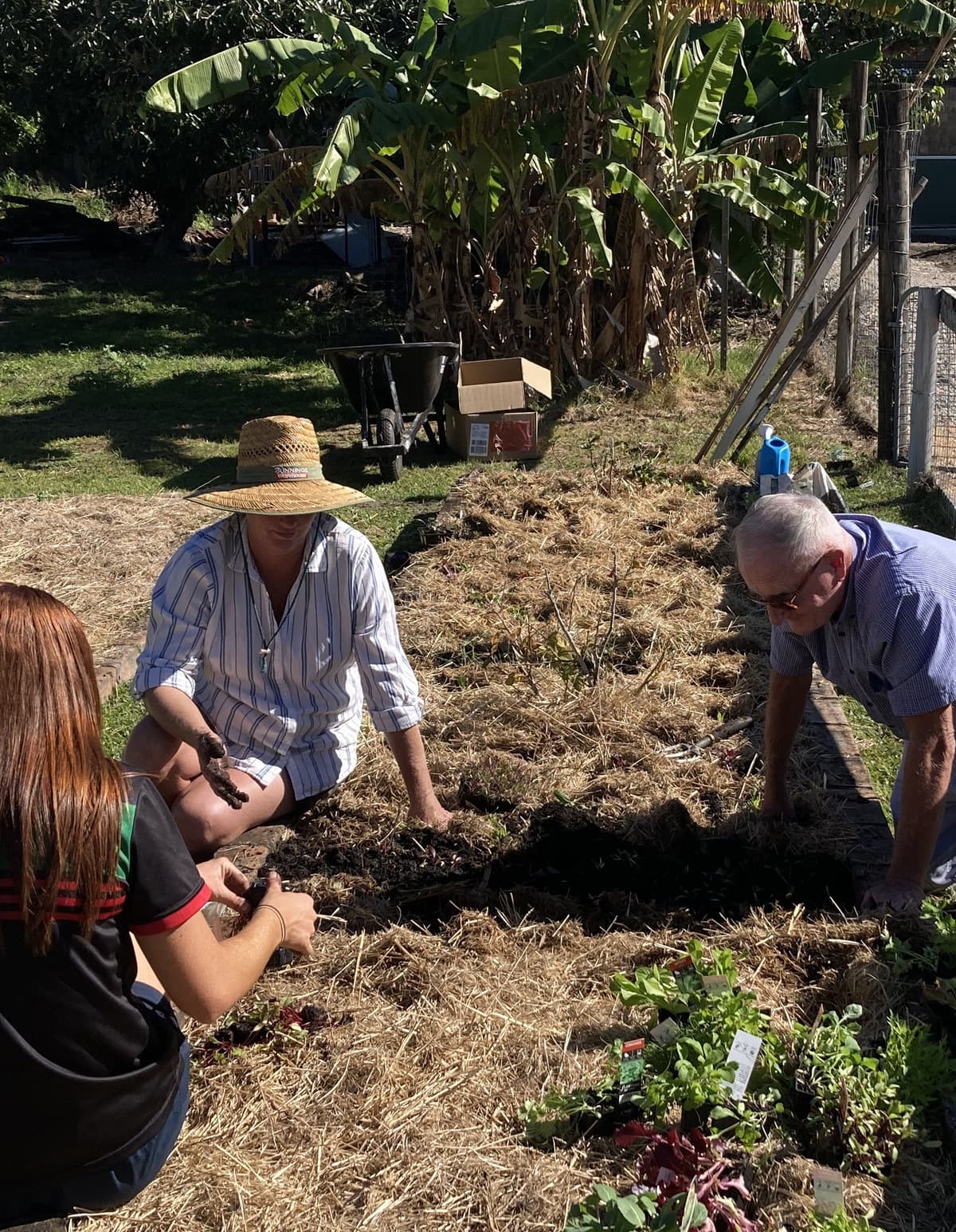 A small group planting out a bed together, hands in the soil