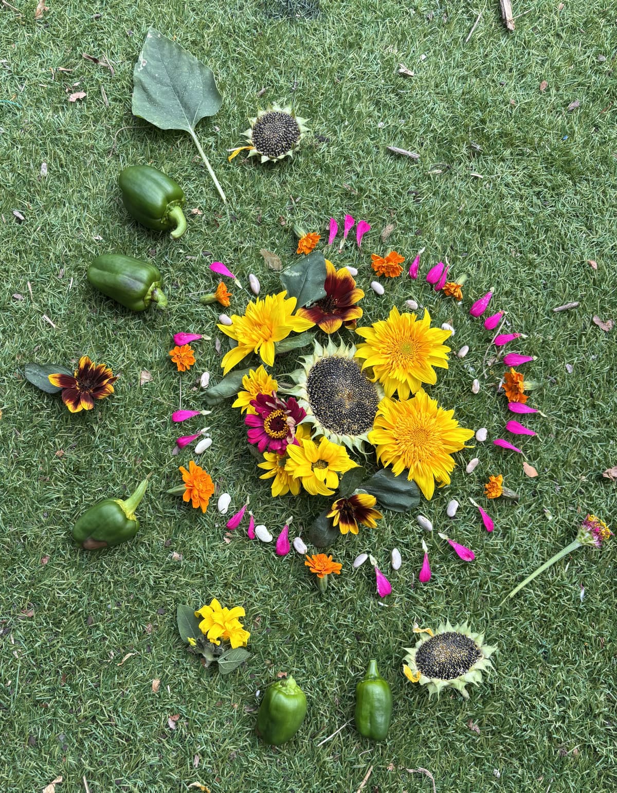 A mandala laid out on grass from flowers, leaves and vegetables