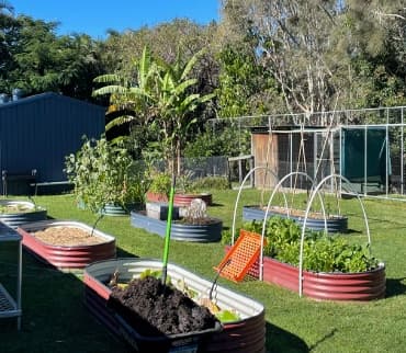 Raised corrugated beds, fruit trees and the chook run in the Caldera school garden