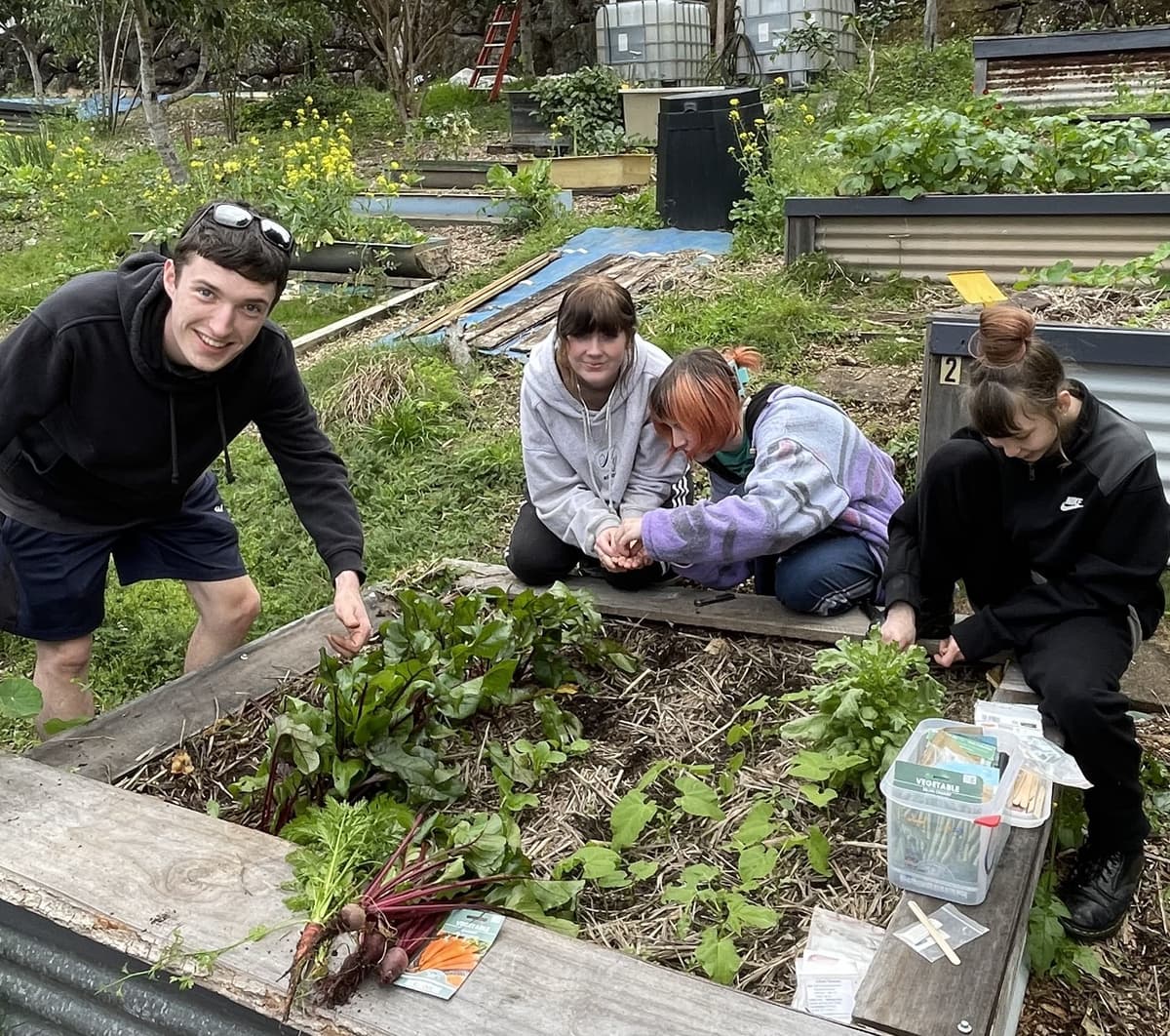 Four young people gathered around a raised bed, beetroot harvest and seed packets laid out between them
