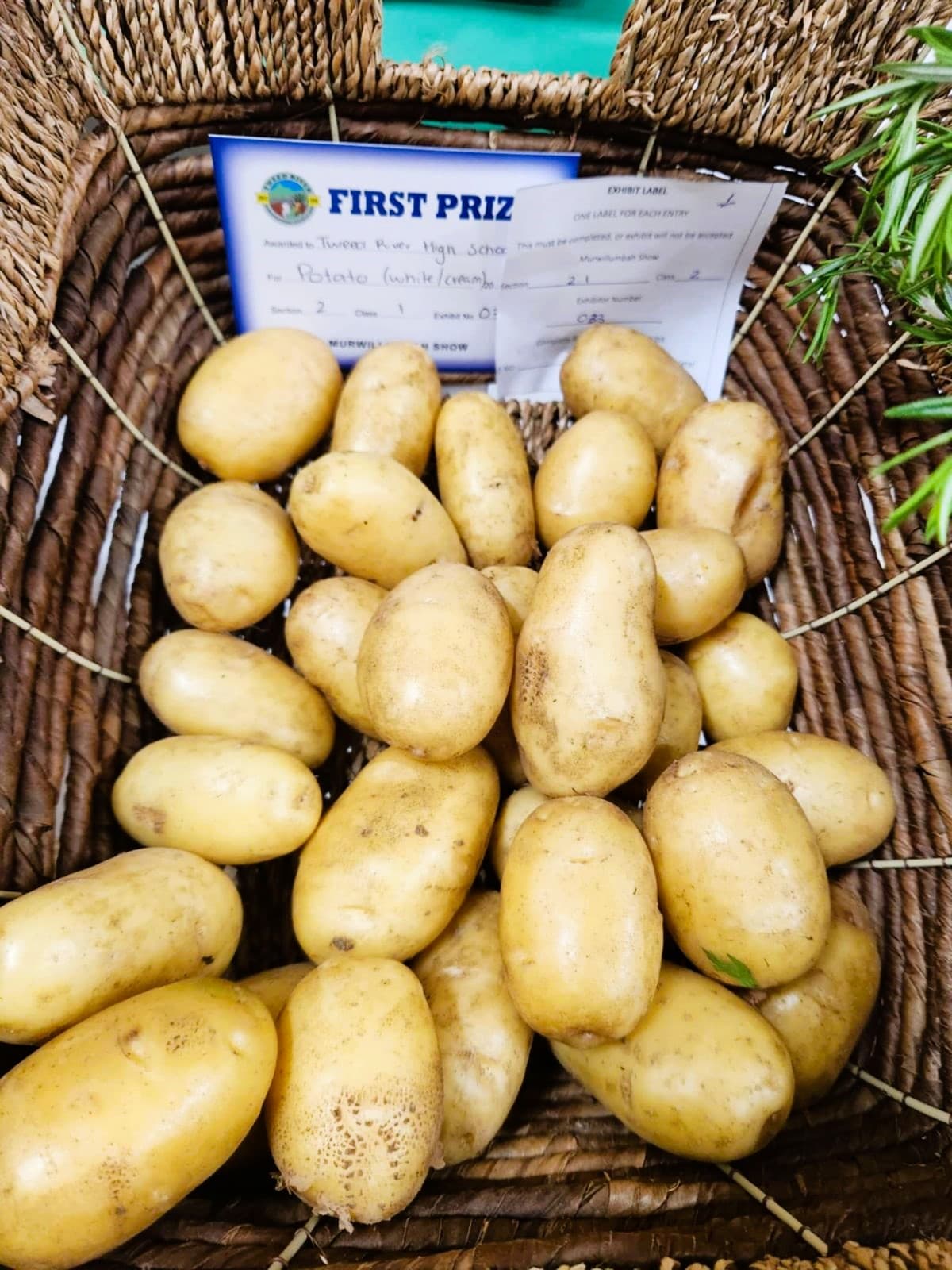 A basket of potatoes with a show first-prize card