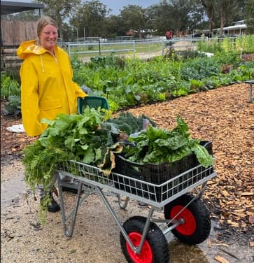 A wet-weather harvest: a loaded cart of greens wheeled up the path in a yellow raincoat