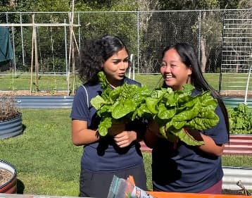 Two students grinning over armfuls of just-picked chard