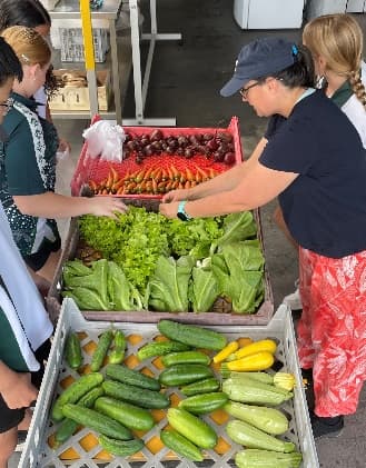 Students and staff sorting crates of lettuce, cucumbers, carrots and beets