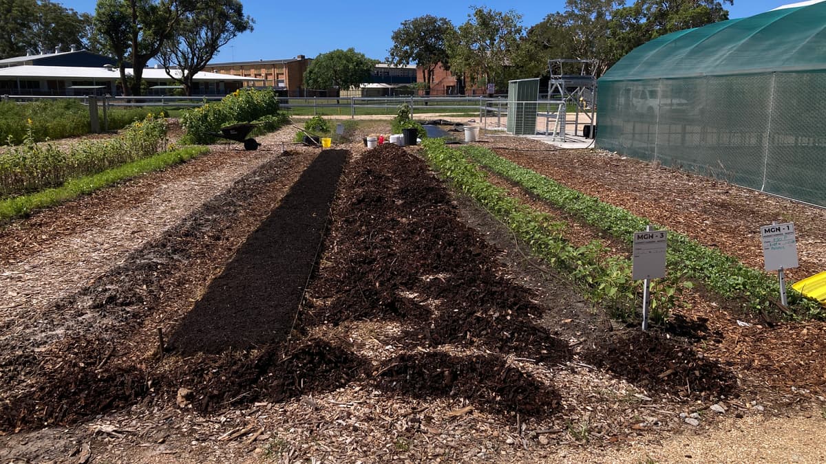 Freshly composted market garden rows, every bed labelled and planted
