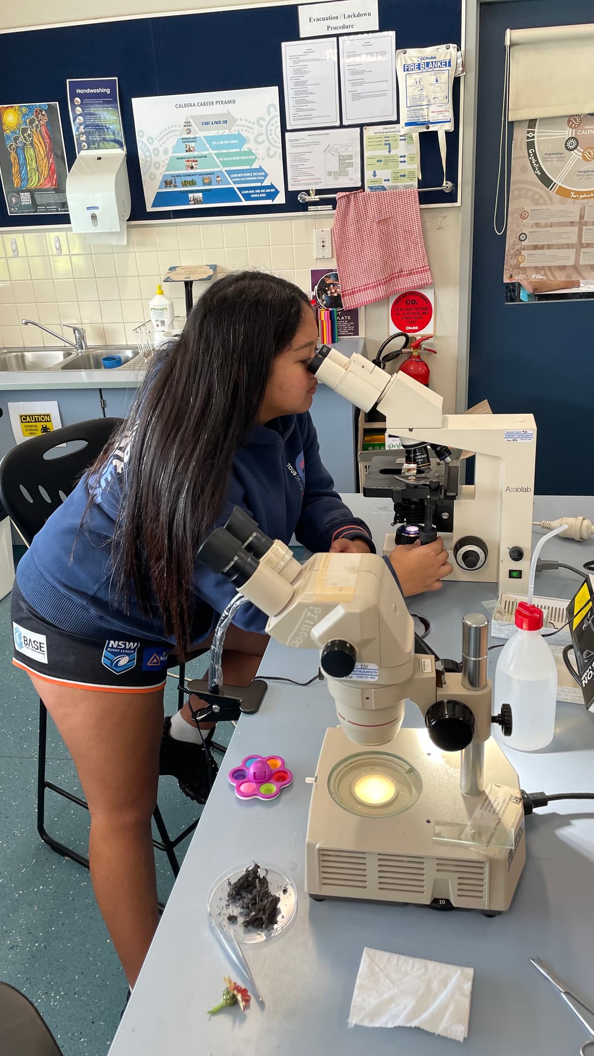 A student studying a soil sample under the microscope in the science room