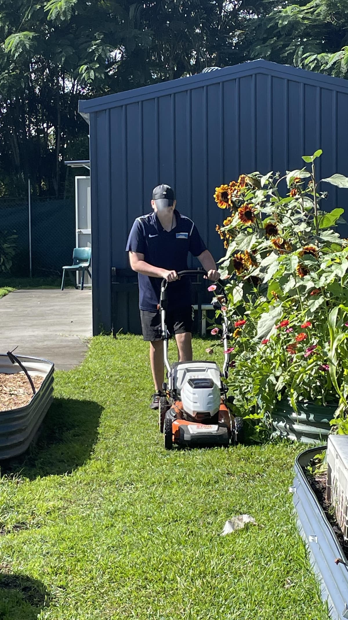 A student mowing the grass path between raised beds and flowering sunflowers