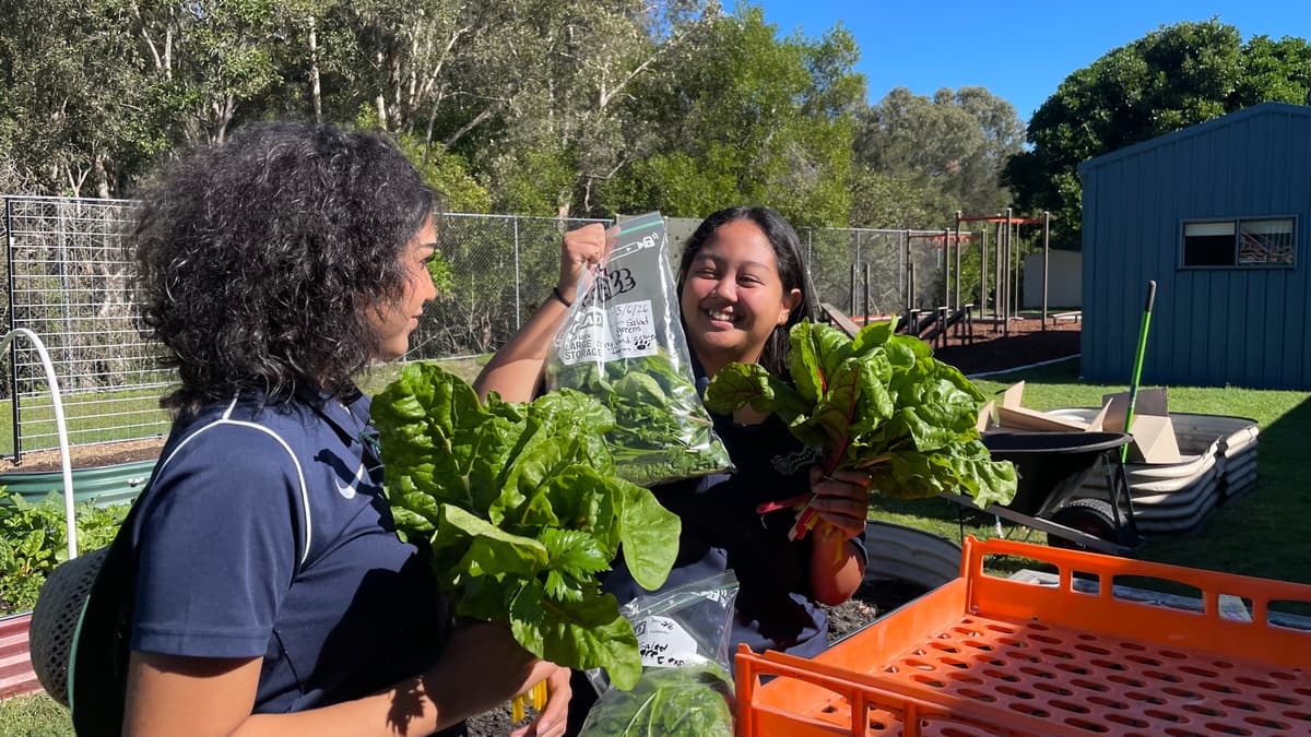 Two students laughing over bunches of chard and bags of salad greens