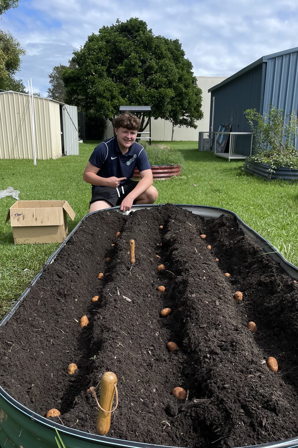 A student setting seed potatoes into a freshly formed bed