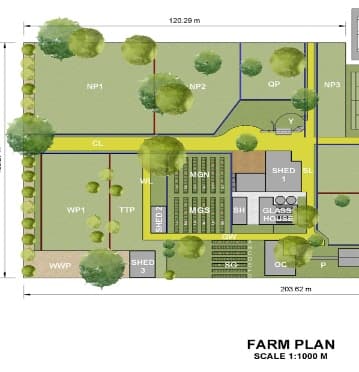The 1:1000 farm plan: market gardens, orchards, sheds and classroom